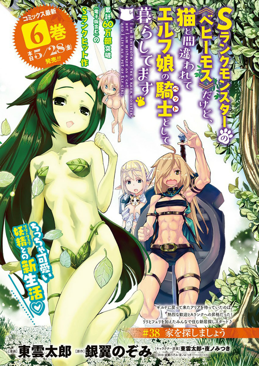 S-Rank Monster no Behemoth Dakedo, Neko to Machigawarete Erufu Musume no Kishi (Pet) Toshite Kurashitemasu Chapter 38 Gambar 2